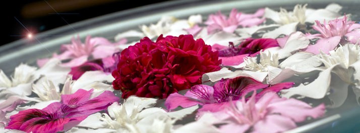 600/Radisson Blu Plaza Hotel - Mysuru 11.jpg